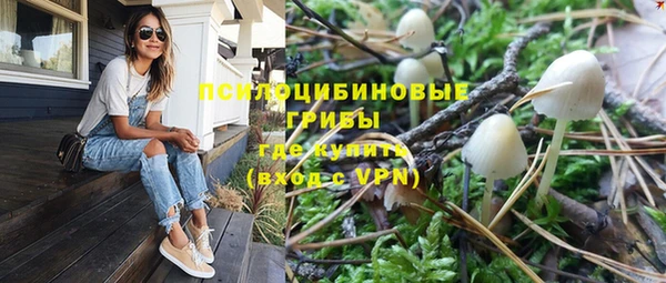 твердый Магадан