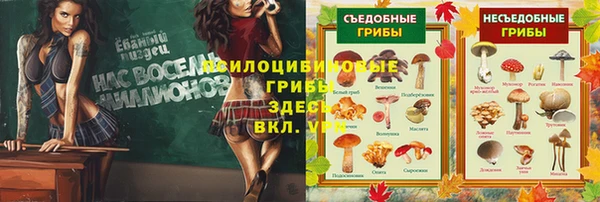 твердый Магадан