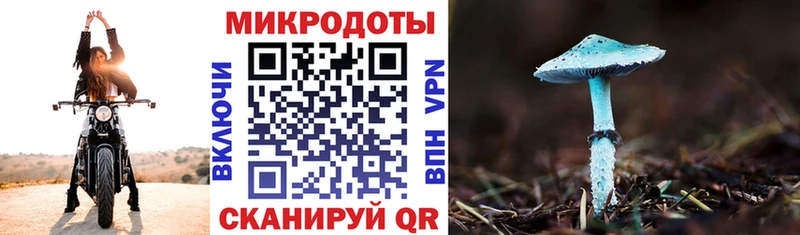 Галлюциногенные грибы Cubensis  OMG зеркало  Саратов 
